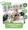 Sosnowa choinka drewniana, dekoracja, nakładkowa, zestaw 2 sztuki - 55 oraz 38 cm