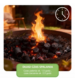 Brykiet drzewny 100% prasowany brykiet z drewna okrągły Brykiet Ekologiczny 20kg w kartonie idealny do kominka